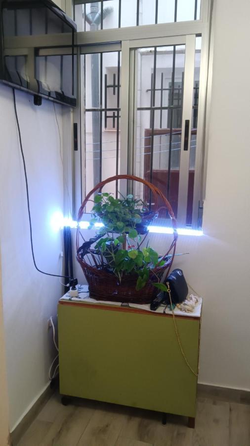 Apartamento Alicia 마드리드 외부 사진